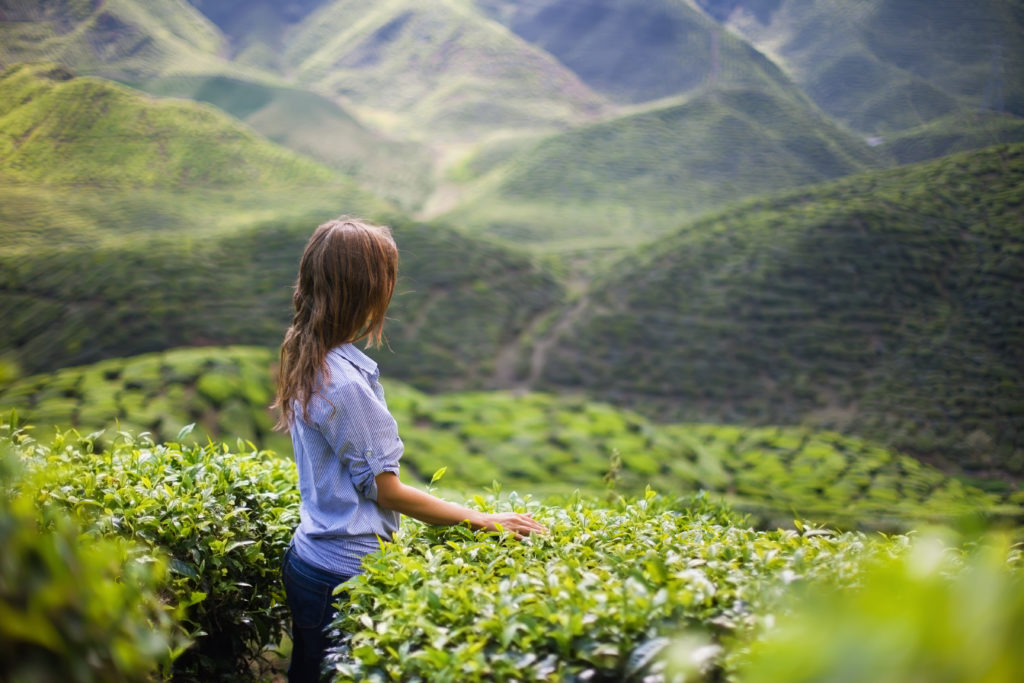 Young Woman on Tea Plantation in Mountain Valley