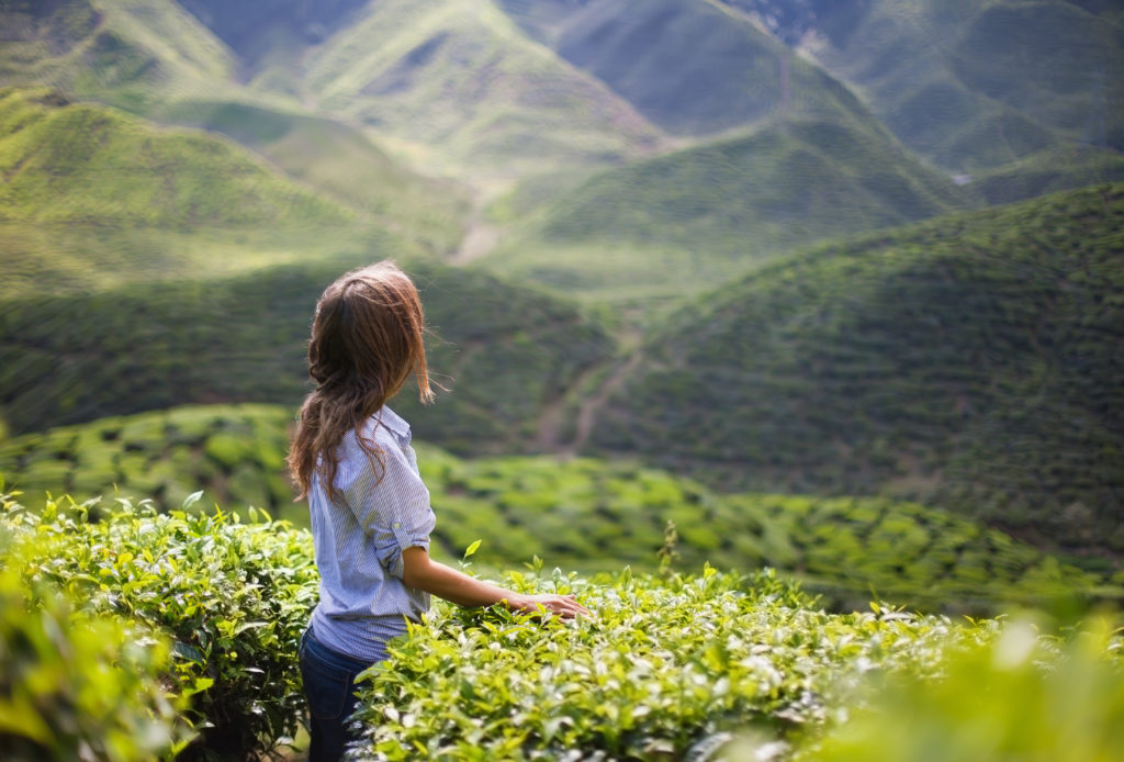 Young Woman on Tea Plantation in Mountain Valley