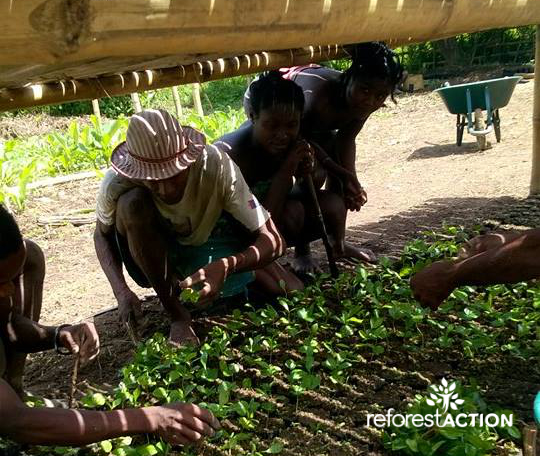 170 arbres plantés grâce à nos Globe-Trotteurs !